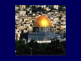 UNESCO envoy to inspect Temple Mount digs